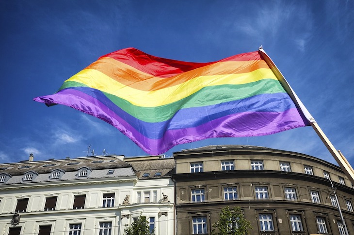 Bandeira LGBT © Astrobobo Pixabay