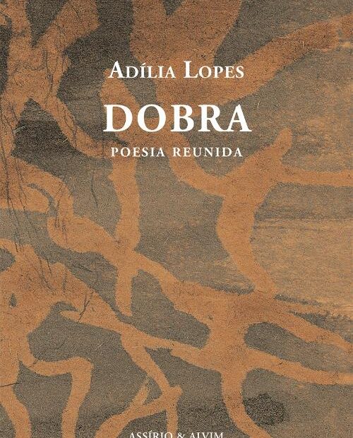 Dobra - Adilia Lopes