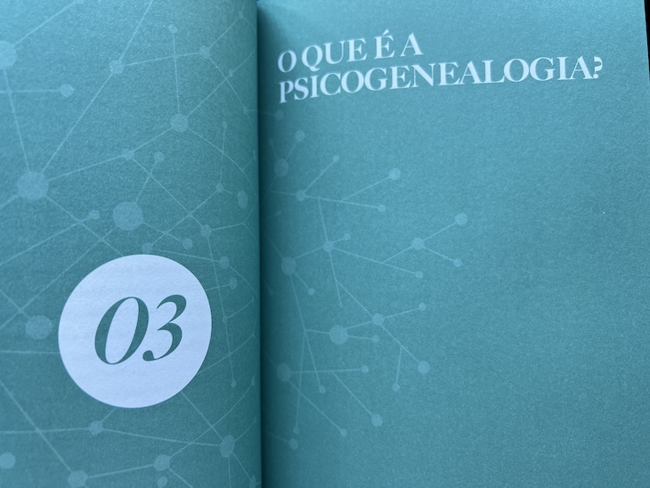 Livro "Repetimos o que não reparamos"