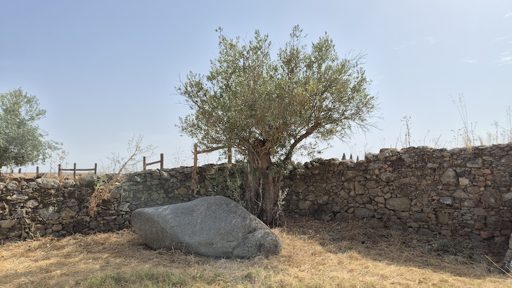 Pedra da Mãe - vinho Alentejo