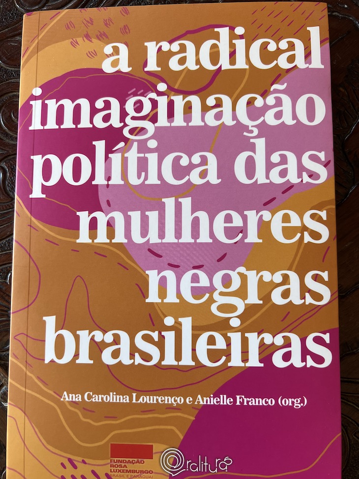 Livro "A Radical Imaginação Política das Mulheres Negras" Brasileiras