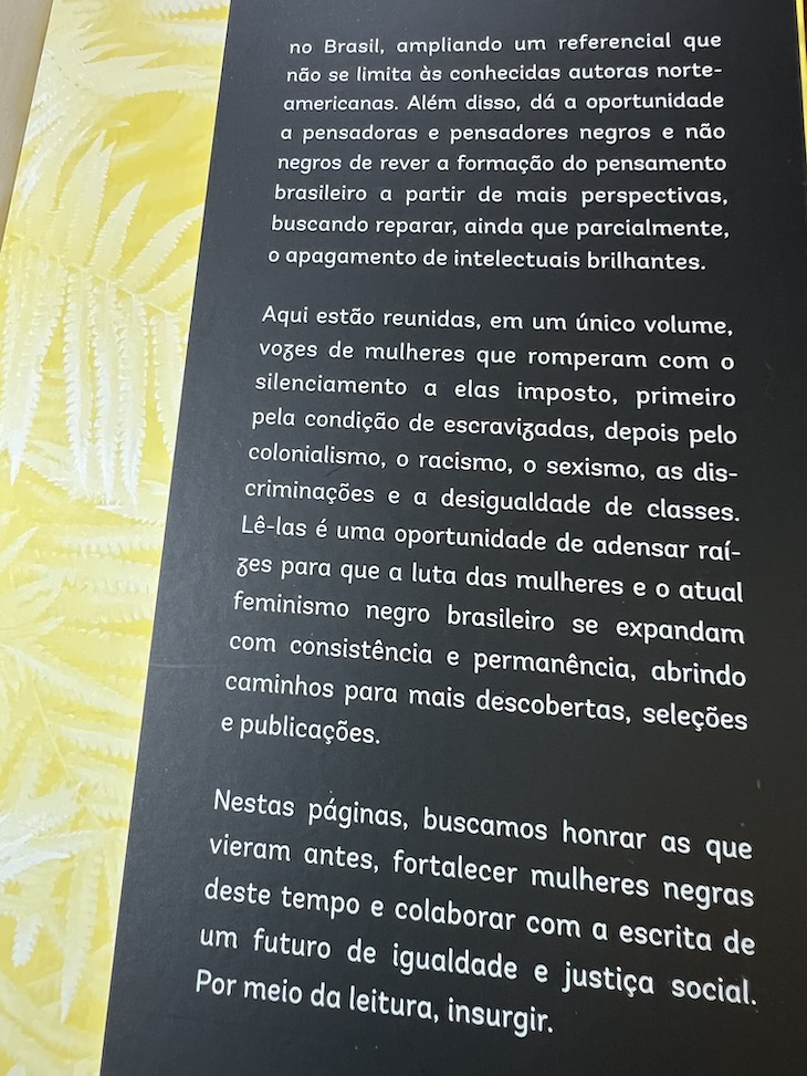 "Vozes Insurgentes de Mulheres Negras – do século XVIII à primeira década do século XXI"