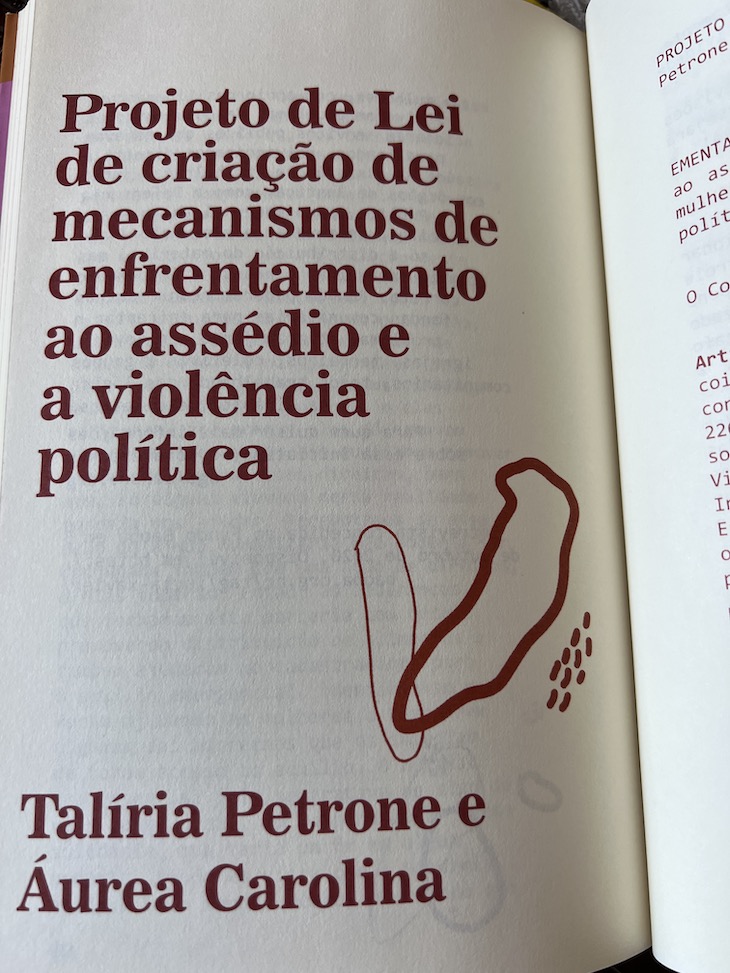 Livro "A Radical Imaginação Política das Mulheres Negras" Brasileiras