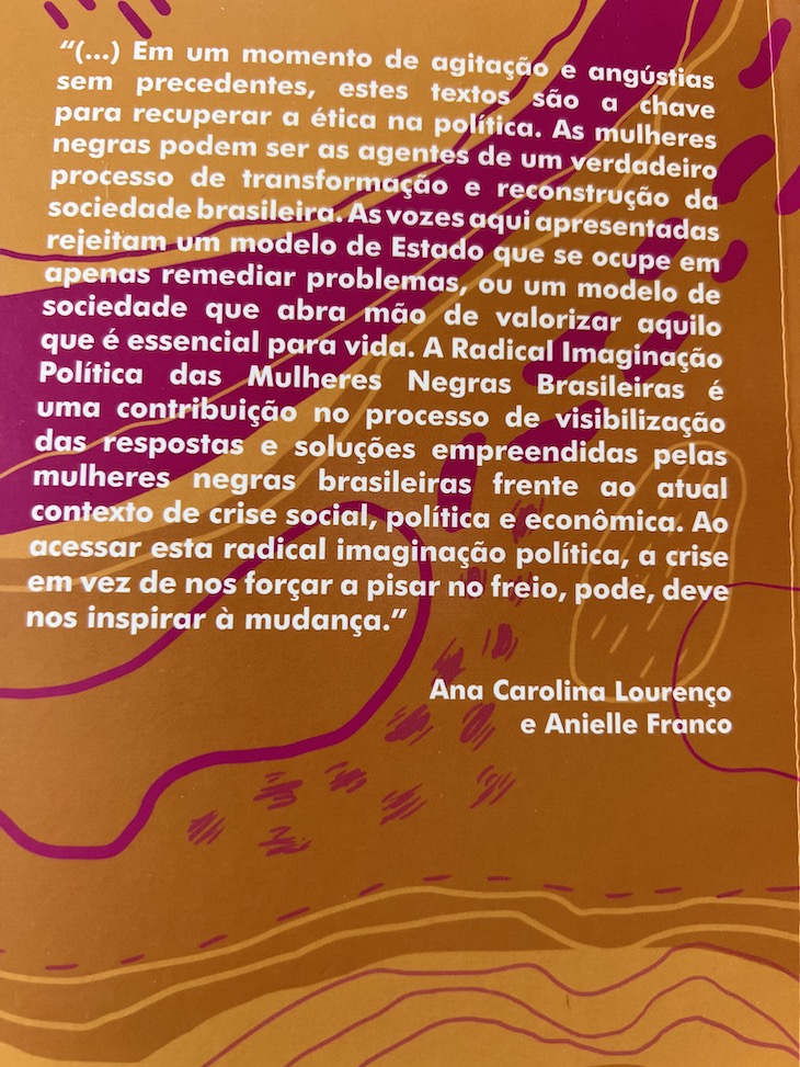 Livro "A Radical Imaginação Política das Mulheres Negras" Brasileiras