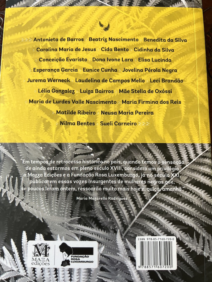 "Vozes Insurgentes de Mulheres Negras – do século XVIII à primeira década do século XXI"