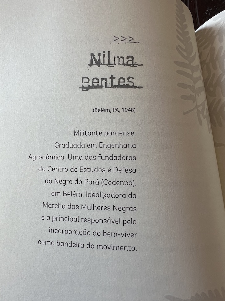 "Vozes Insurgentes de Mulheres Negras – do século XVIII à primeira década do século XXI"
