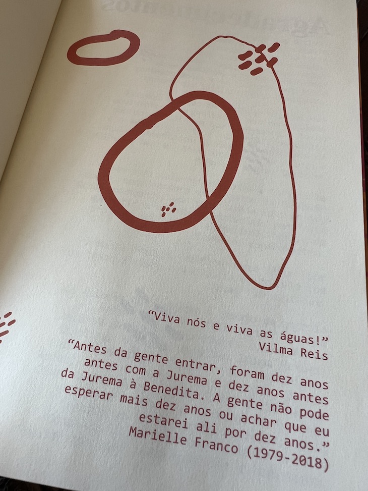 Livro "A Radical Imaginação Política das Mulheres Negras" Brasileiras