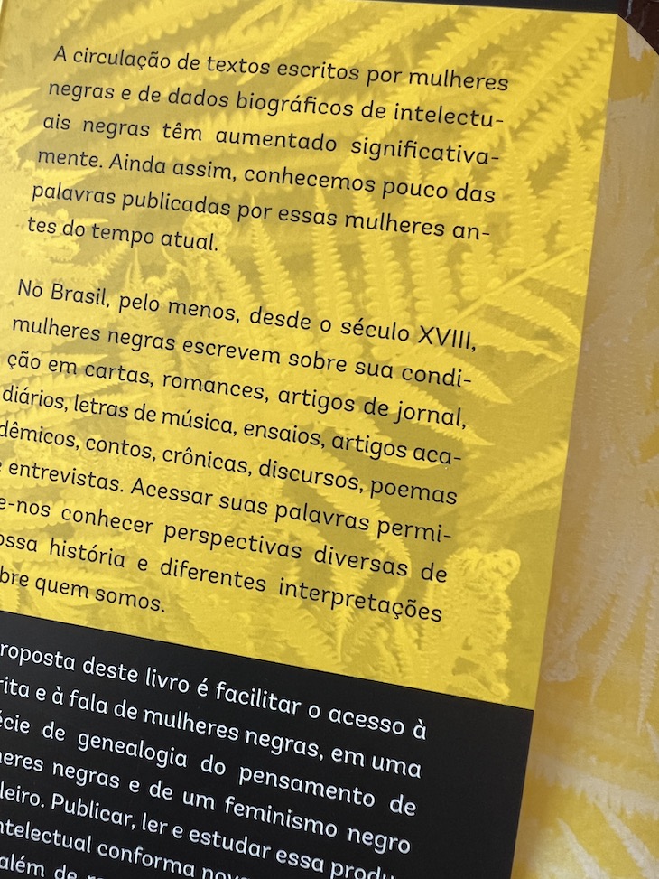 "Vozes Insurgentes de Mulheres Negras – do século XVIII à primeira década do século XXI"