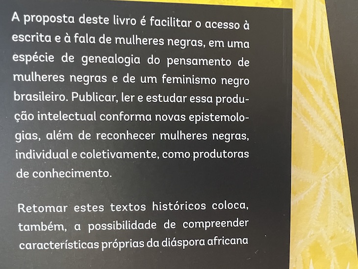 "Vozes Insurgentes de Mulheres Negras – do século XVIII à primeira década do século XXI"