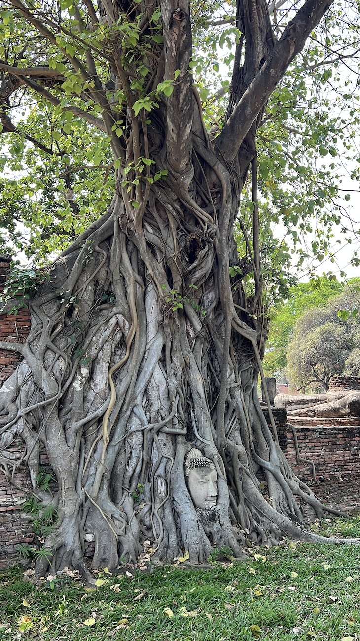 Ayutthaya - Tailândia © Viaje Comigo