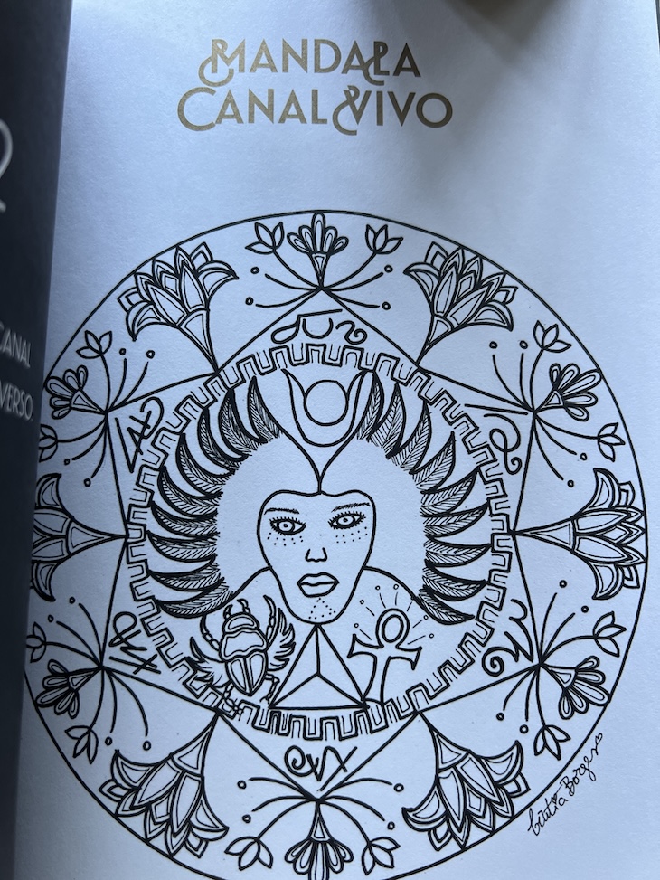 Livro "Códigos de Manifestação" © Cíntia Borges e Rute Caldeira