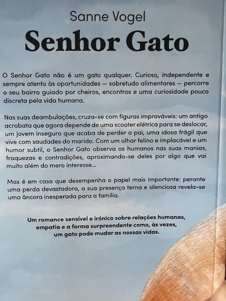 "Senhor Gato" - Sanne Vogel © Mulheres Em Viagem