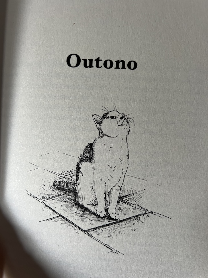 "Senhor Gato" - Sanne Vogel © Mulheres Em Viagem