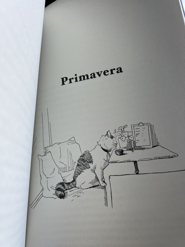 "Senhor Gato" - Sanne Vogel © Mulheres Em Viagem