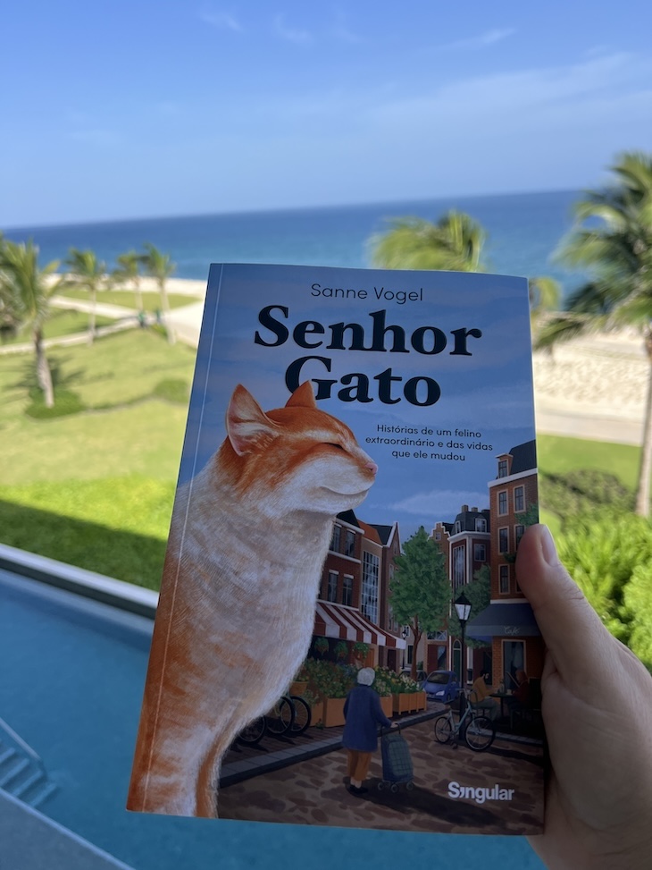 "Senhor Gato" - Sanne Vogel © Mulheres Em Viagem
